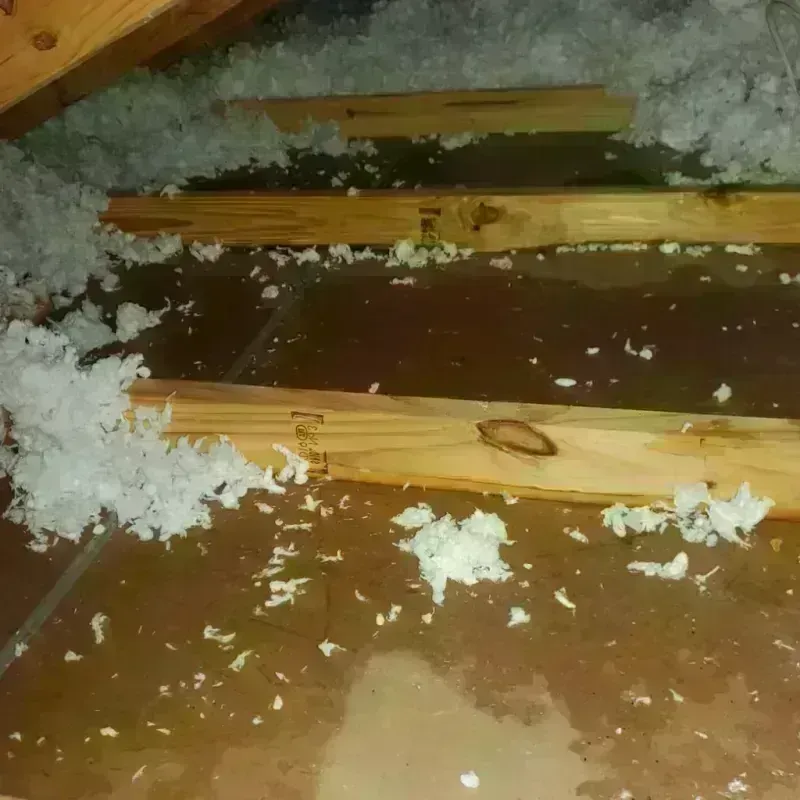 Attic Water Damage in Rocksprings, TX