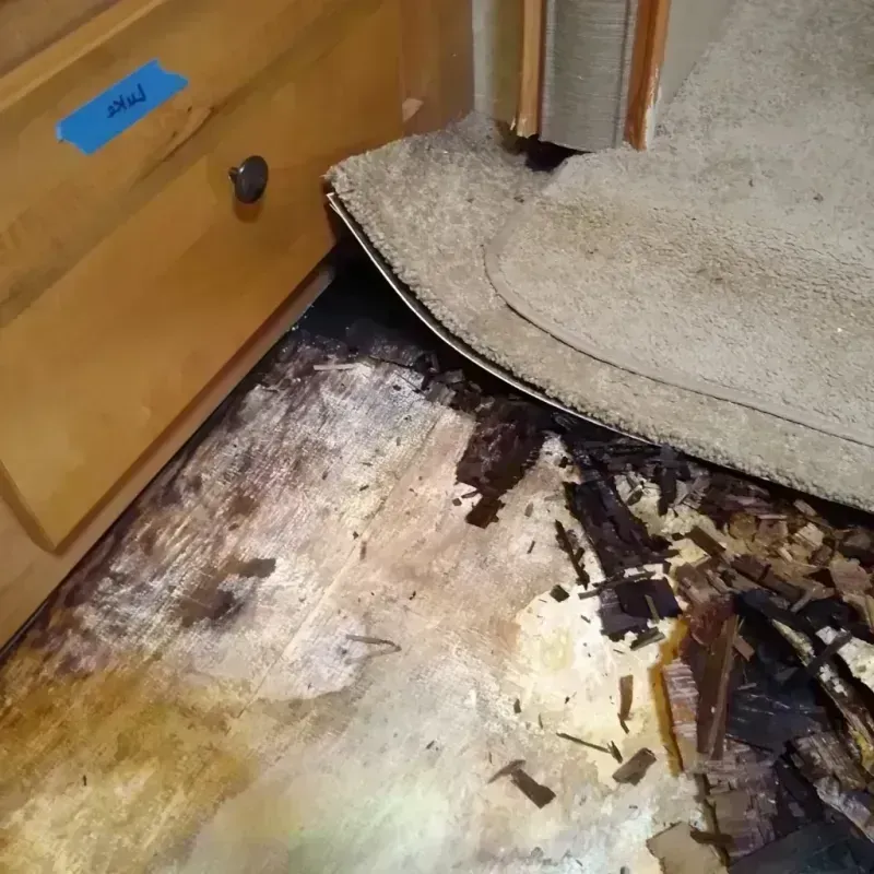 Best Wood Floor Water Damage Service in Rocksprings, TX